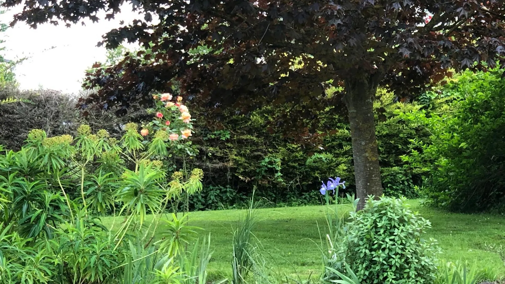 Holiday home Le Domaine Du Sillon Villa Mont-Dol